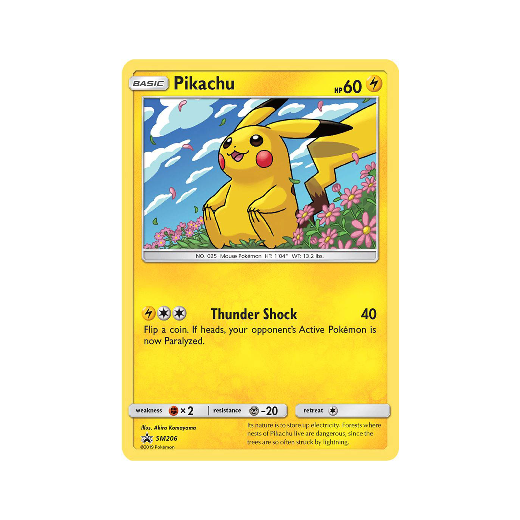 pokemon pikachu v2, kinnsich halı