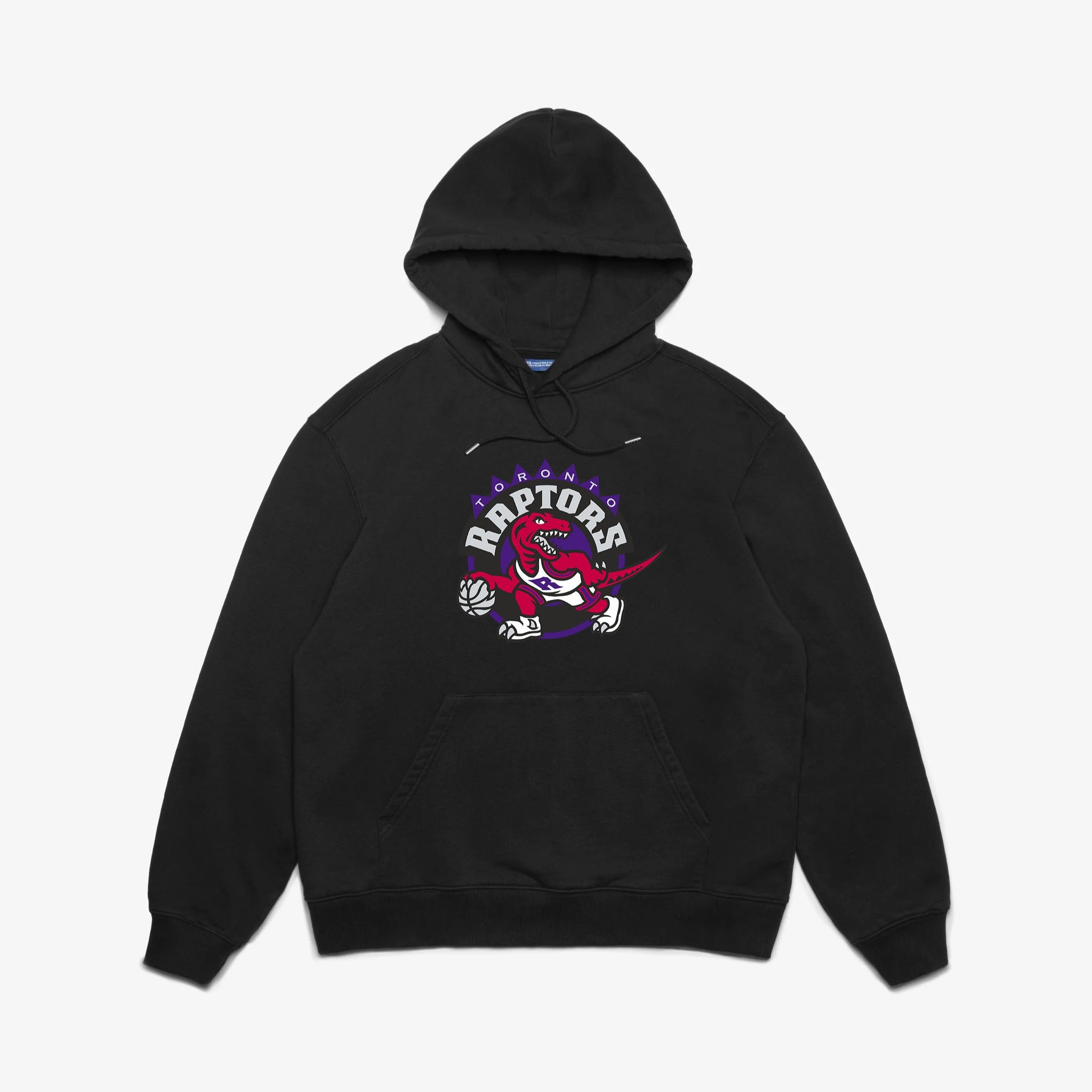 RAPTORS HOODIE