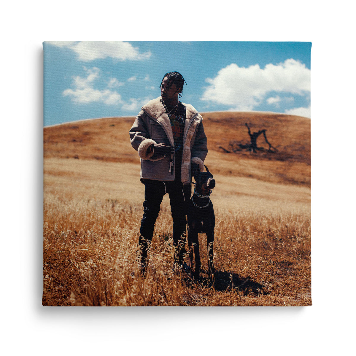 travis scott - rodeo, kanvas tablo