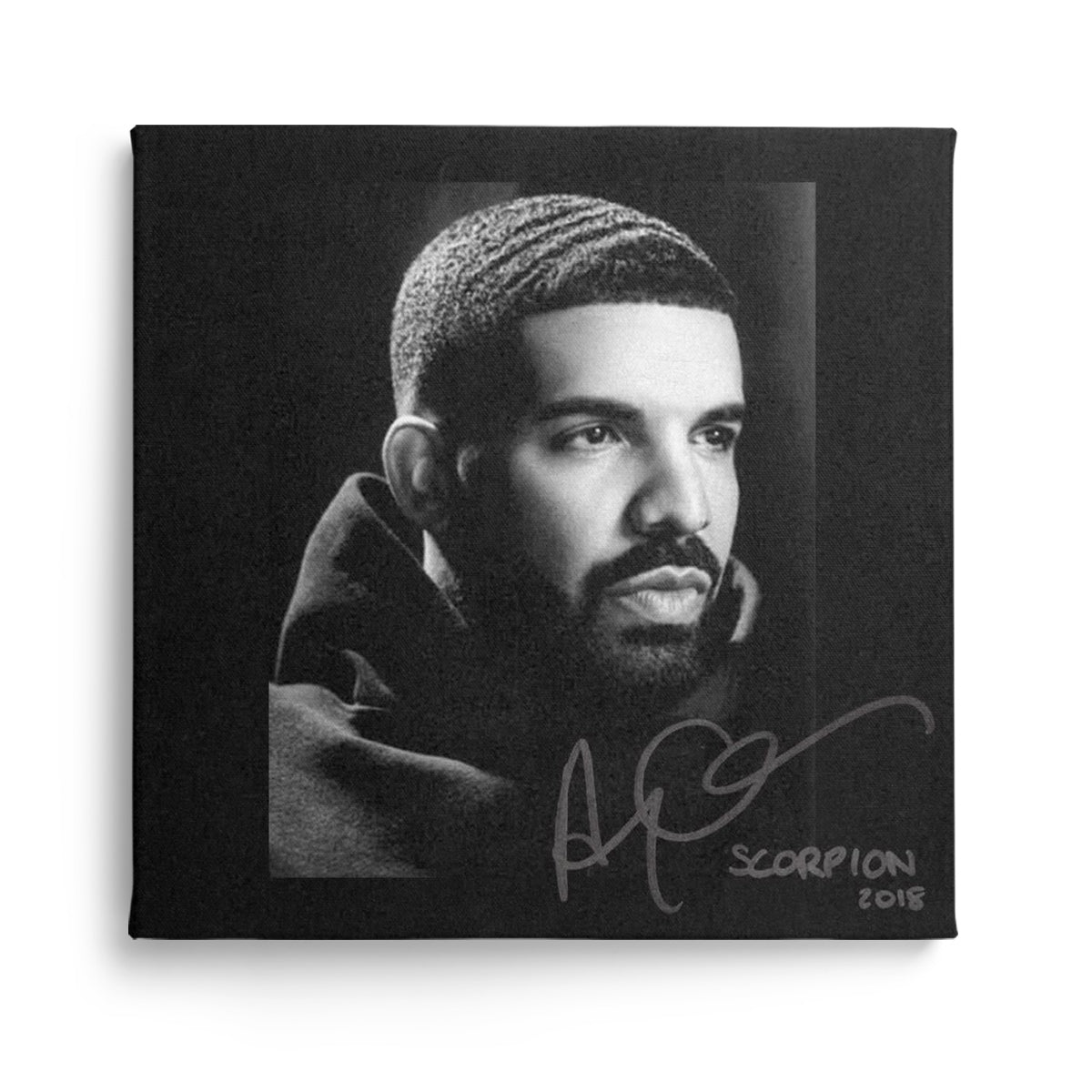 drake - scorpion, kanvas tablo