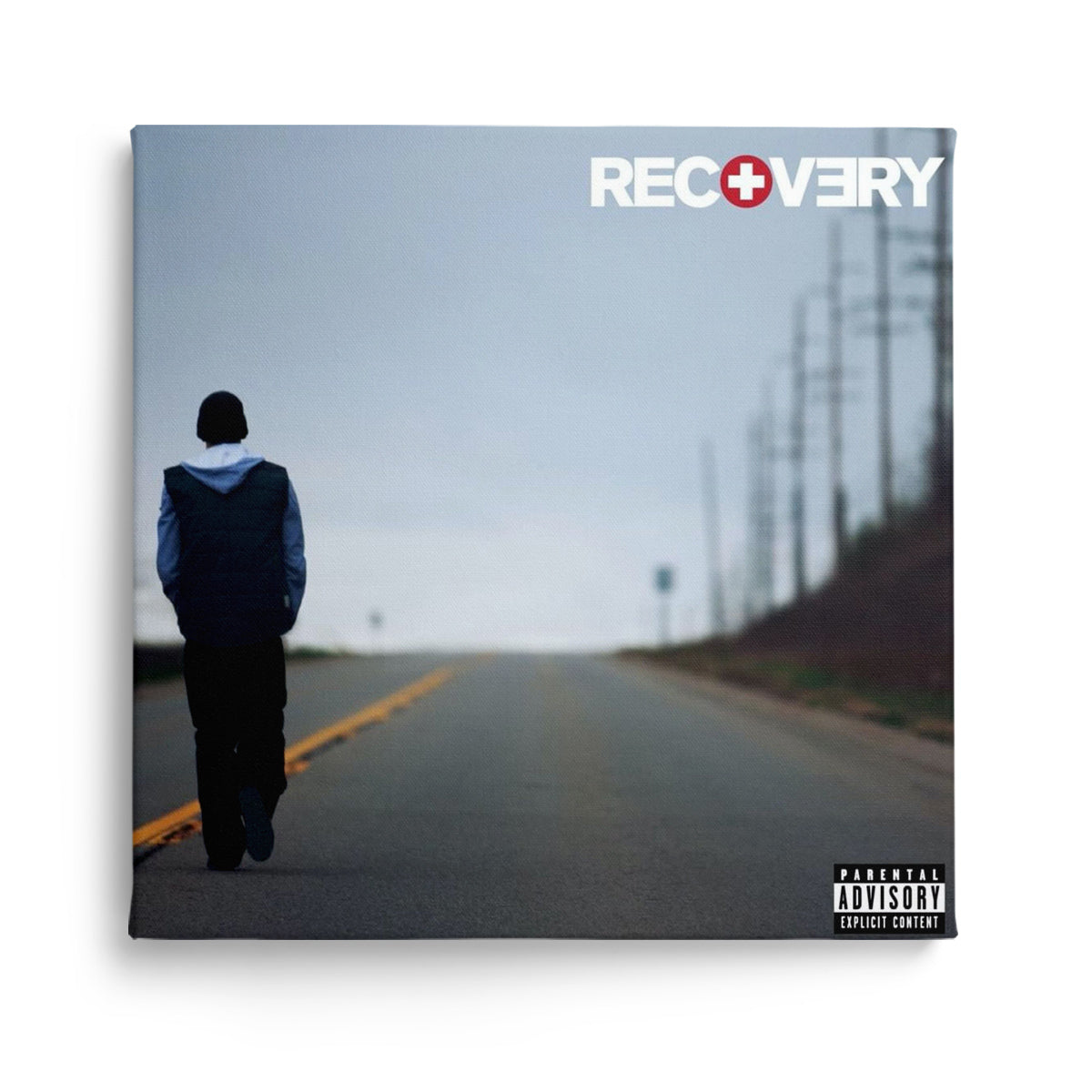 eminem - recovery, kanvas tablo