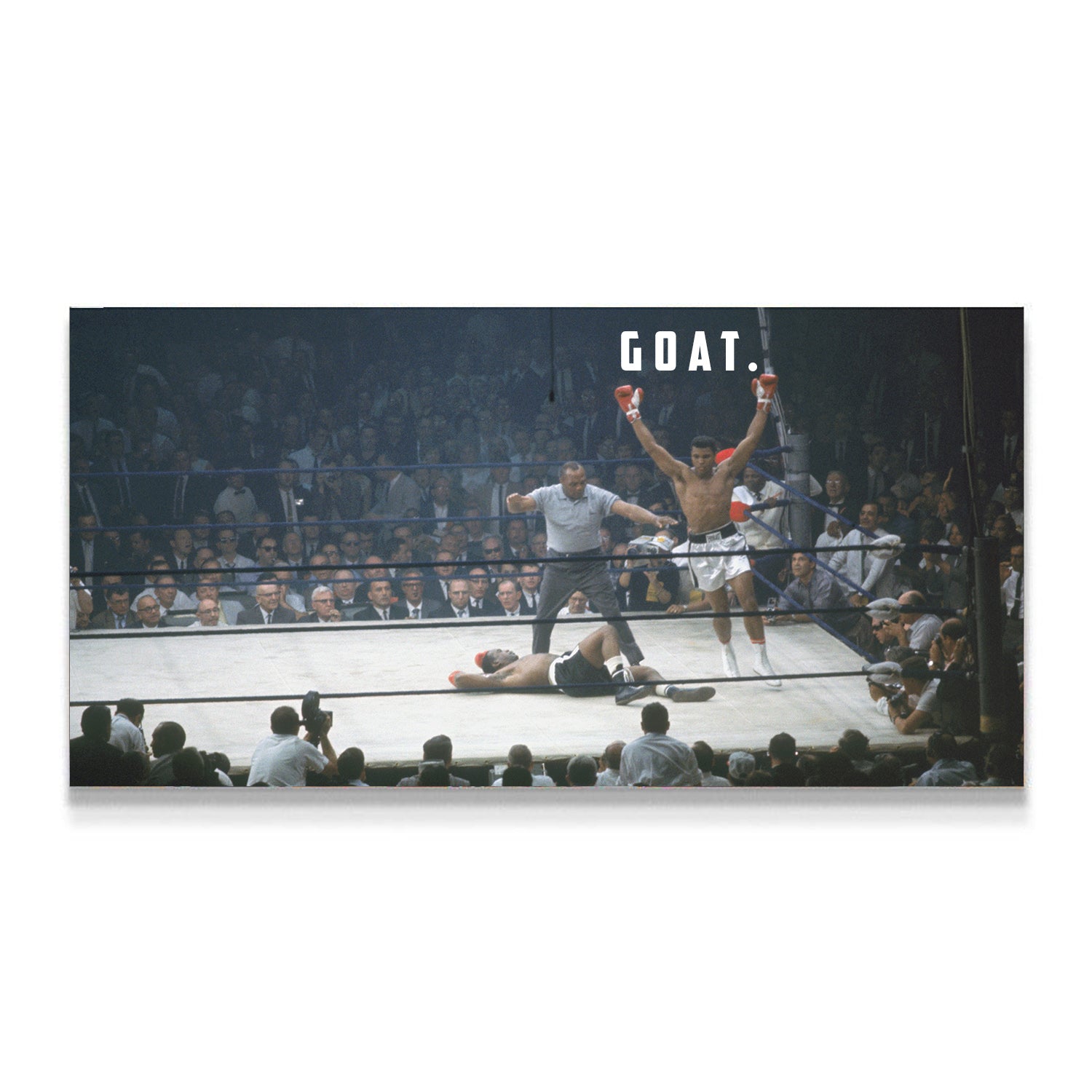 goat, muhammed ali, kanvas tablo