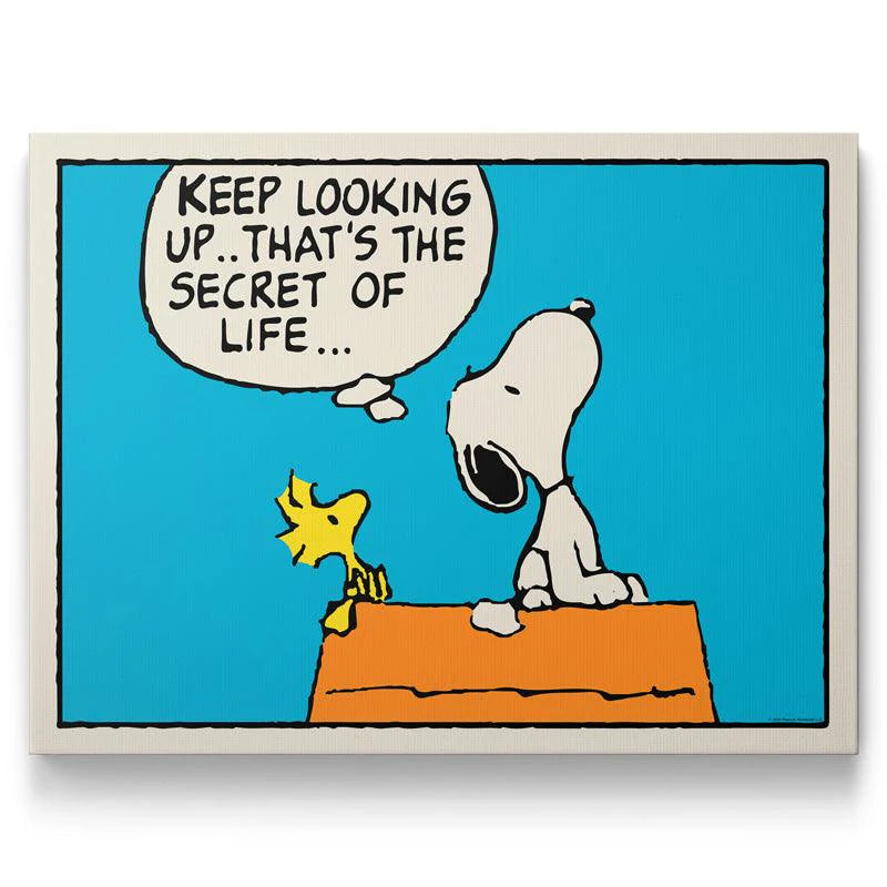 Keep Looking Kanvas Tablo – Kinnsich