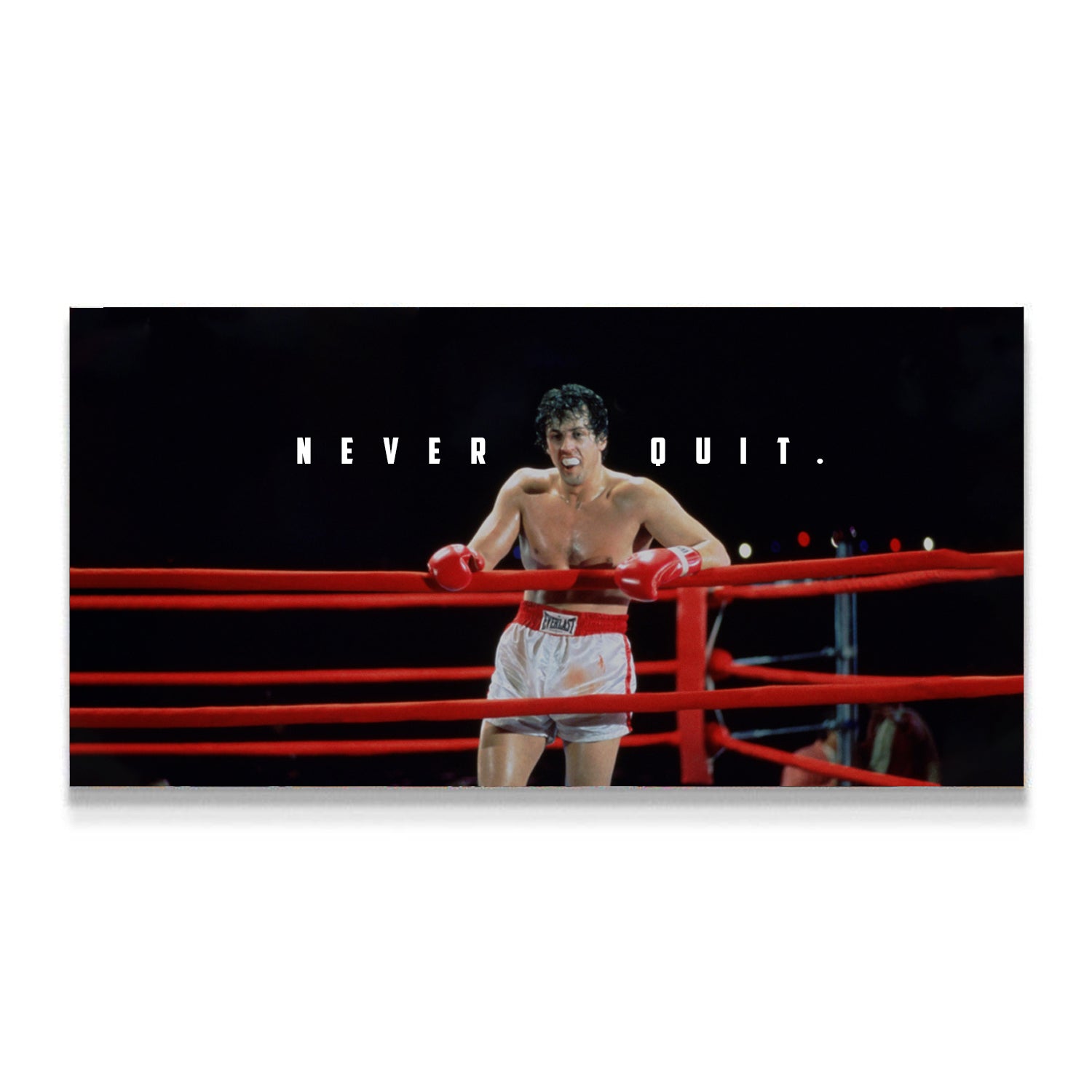 never quit, rocky, kanvas tablo