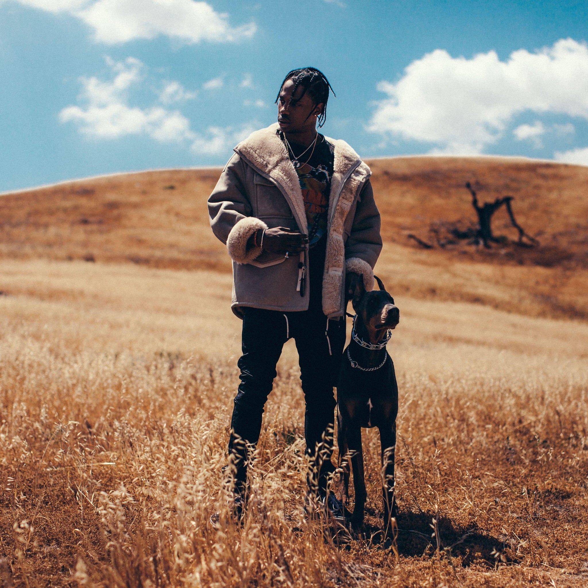 travis scott - rodeo, kanvas tablo