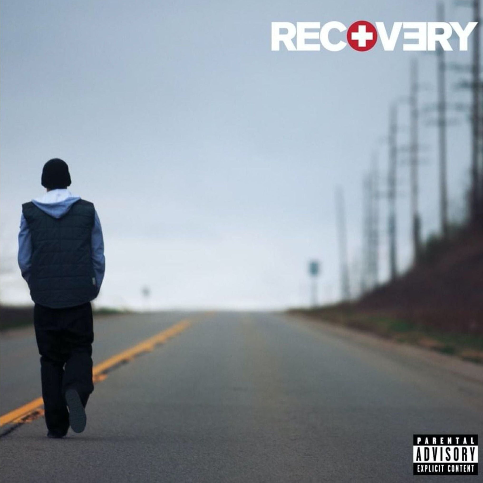 eminem - recovery, kanvas tablo