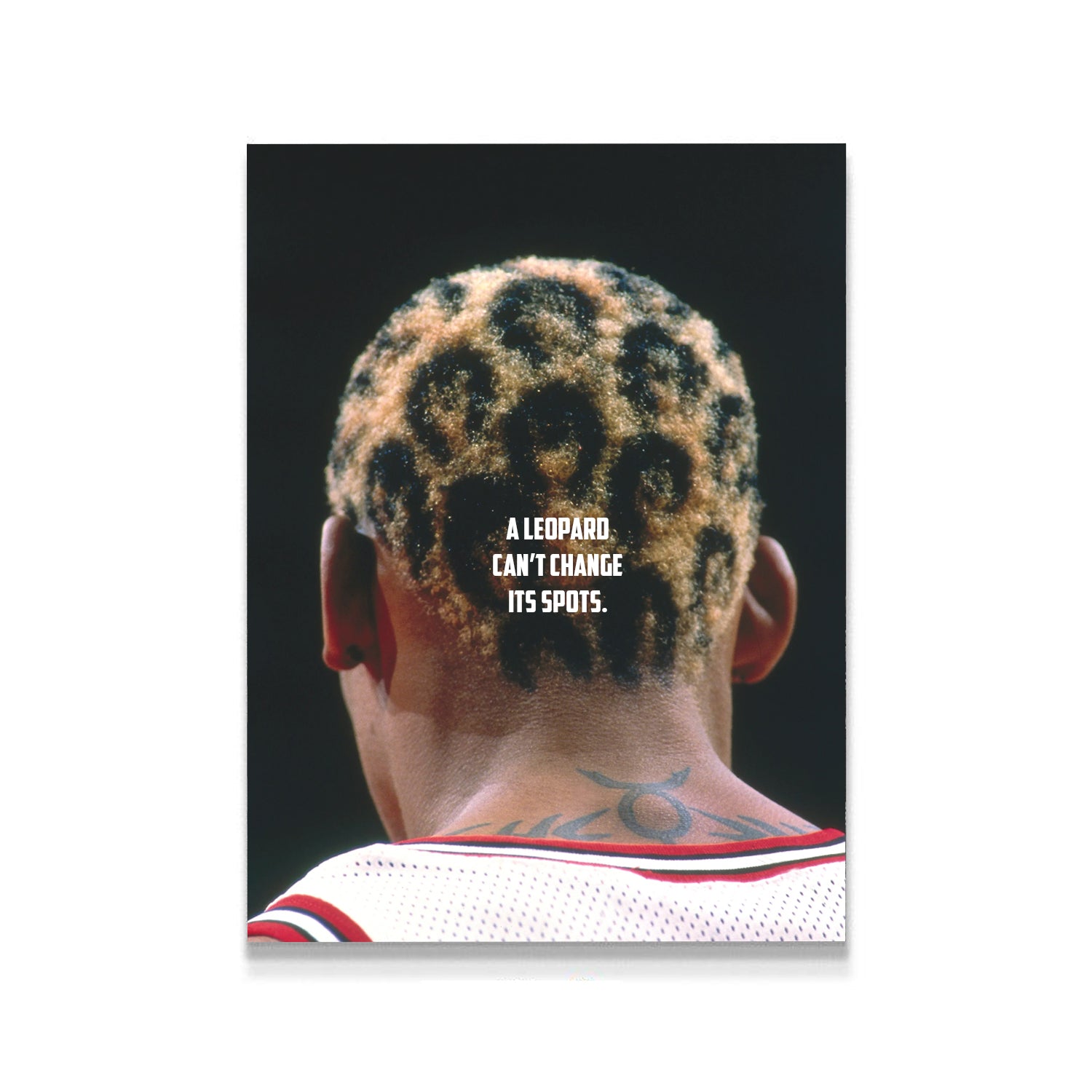 a leopard spots, dennis rodman, kanvas tablo