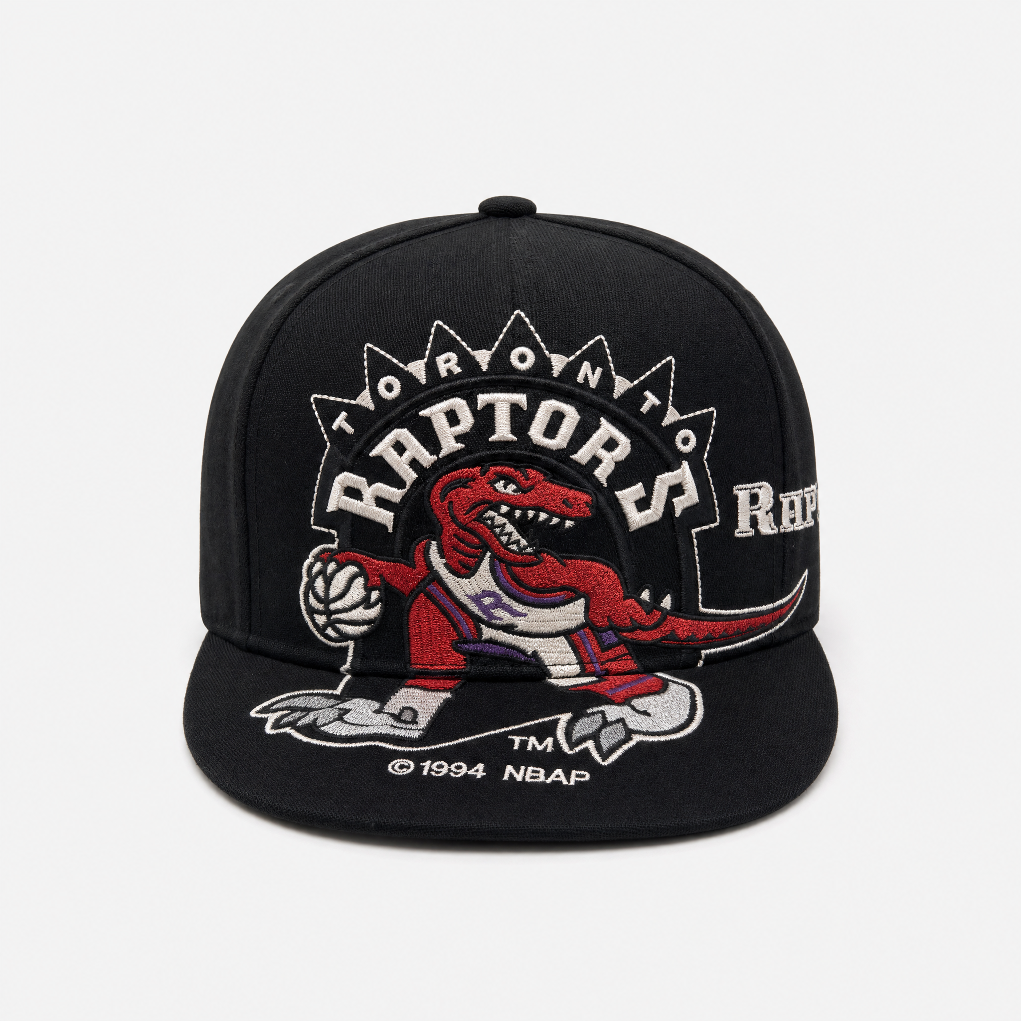 TORONTO RAPTORS SNAPBACK ŞAPKA – Kinnsich